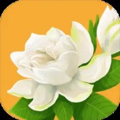 后发制人峡谷传